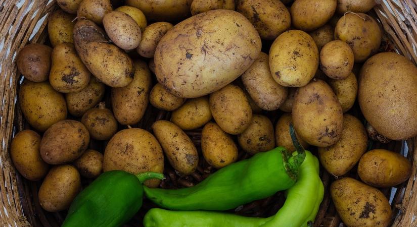 Beavatkozást sürgetnek: válságos helyzetben a nyugat-európai zöldségtermesztők