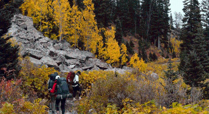 Eredményes évet zárt a Columbia első Hike Society programja