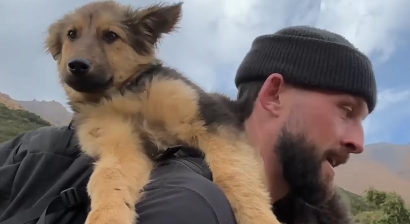 Megmászta a hegyet, ahol egy kutyakölyökre bukkant – szívmelengető történet
