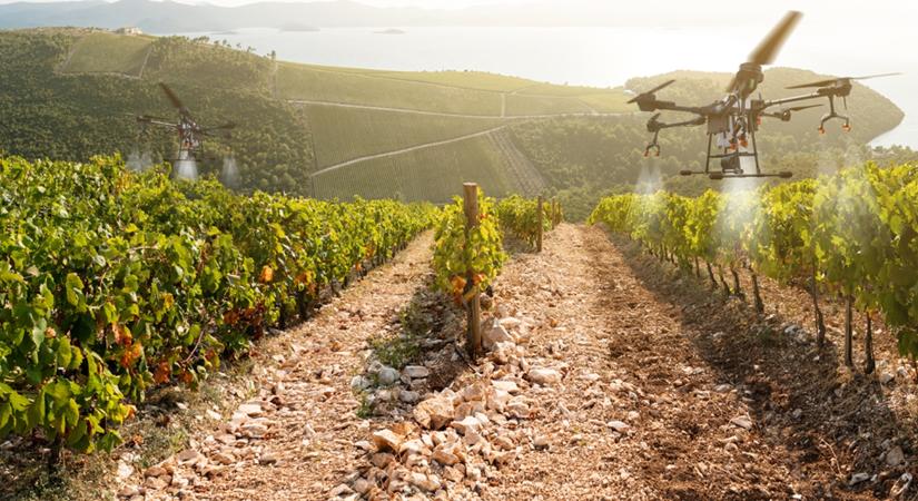 Glifozát, be nem jelentett permetezések: bírság járt értük