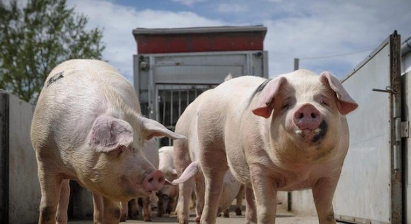 Végveszélyben az egyik legfontosabb uniós piac