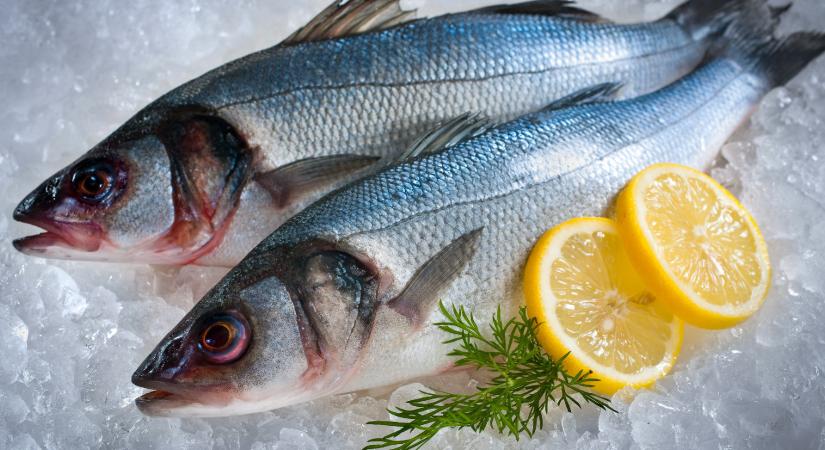 METRO kvízünk nyertesei