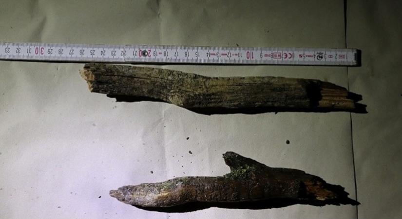 Letartóztatásban a fahusángos rabló