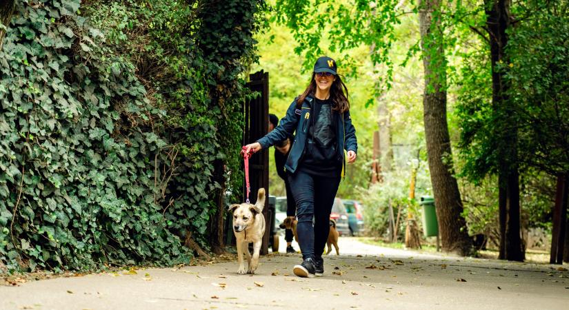 Lezárult a Kärcher „Tiszta Menhely” közönségszavazása – három állatmenhely kapott támogatást a vállalat új társadalmi felelősségvállalási programjában