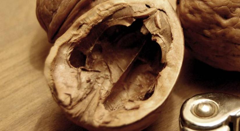 A szemétbe dobnád, pedig karácsonyfadísz is lehet: ennél olcsóbban el sem készíthetnéd