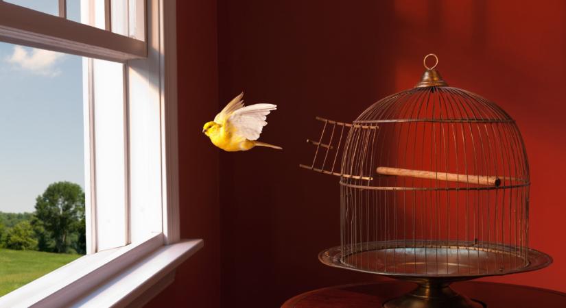 Lecsapott a rendőrség a szolnoki férfira: döbbenetes, mivel bukott le