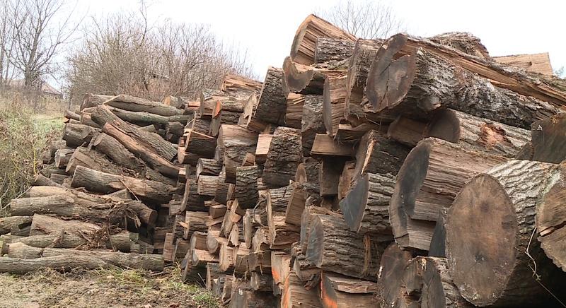Idén is megjelentek a tűzifacsalók