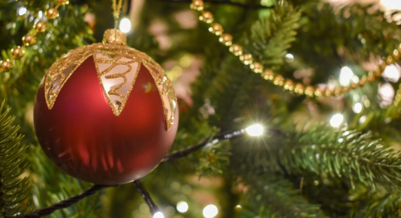 Rosszul szállították a fenyőt az autópályán, nagy baj lett belőle