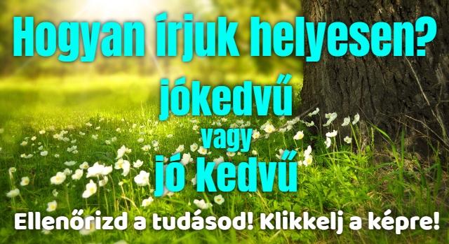 Napi helyesírás feladat: Egybe vagy külön? A kommentelők fele elrontja ezt a szót!