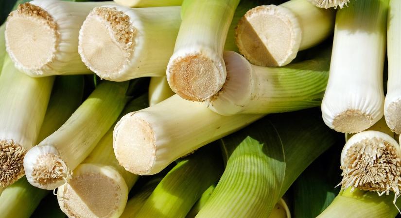 Hollandia: csökkenőben a póréhagyma ára