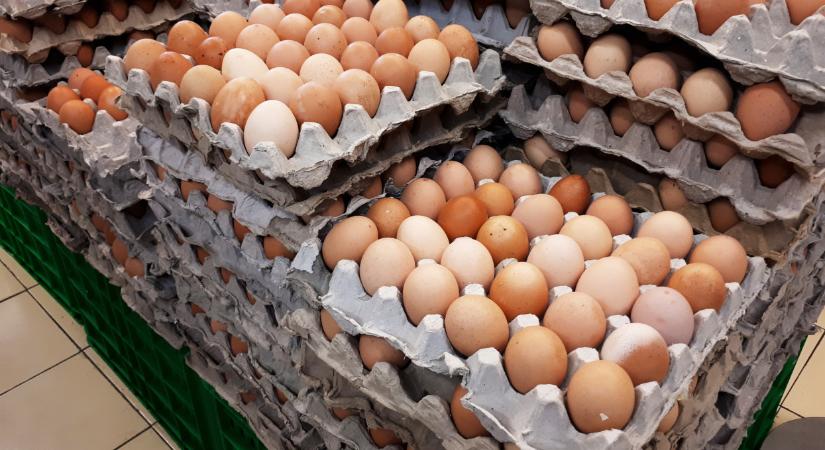 Csak úgy ömlik be az EU-ba az import tojás: ebből a 2 országból jön a java