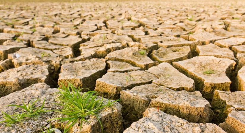 Kritikus állapotban a Föld több mint kétharmada