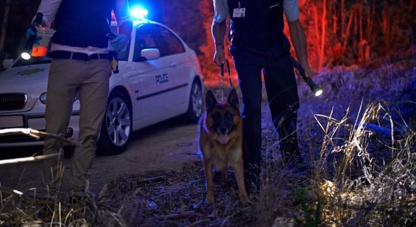 Hetek óta nincs hír egy karcagi tinilányról, senki sem tudja, hová tűnhetett