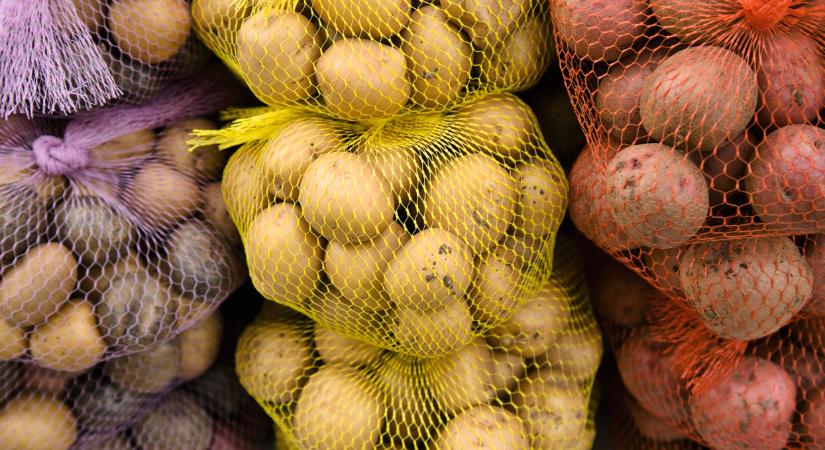 Példátlan válság ért el rengeteg termelőt: van még ebből visszaút?