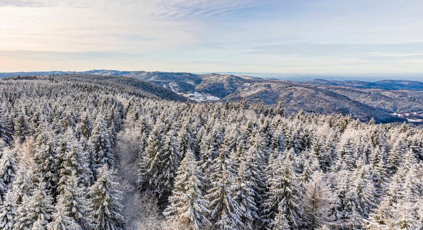 Ekkor zúdul be a hideg Magyarországra, drasztikus változás áll be a télre ettől az időponttól a friss előrejelzések szerint?