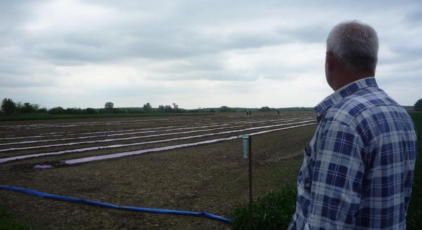 Alkotmánybíróság: Az önkormányzat nem vethet ki akkora telekadót, amellyel szinte elkobozza a tulajdont