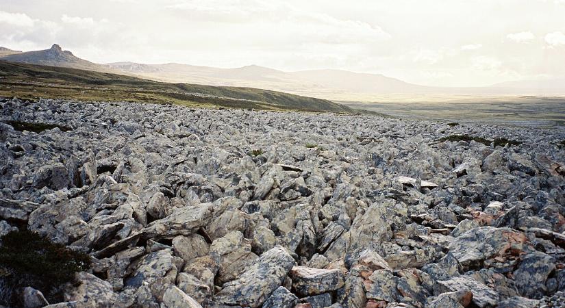 Indulhat a Solana shitcoinok kereskedése a Coinbase tőzsdén listázás nélkül