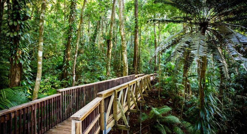 Tragikus kötélpálya-baleset – a férj meghalt, a feleség súlyosan megsérült