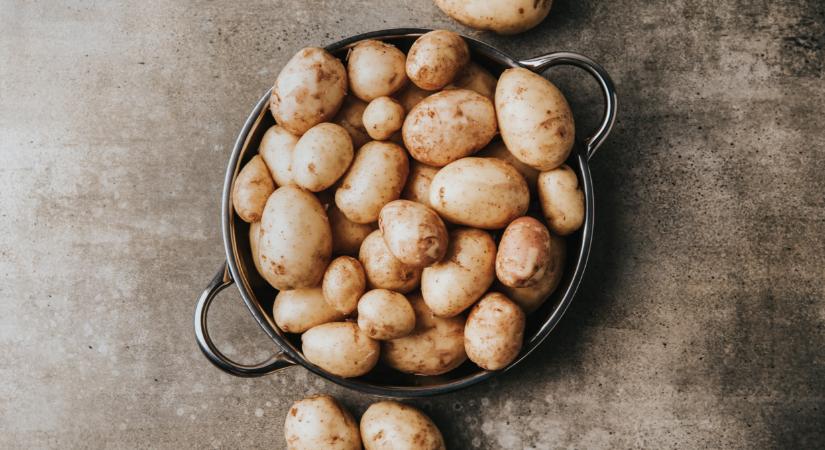 Nem semmi, ami az ukrán burgonyával történik: meglepő hírek jöttek