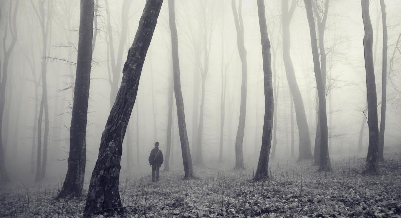 Eltűnt egy 66 éves egy osztrák férfi Mosonmagyaróvárról