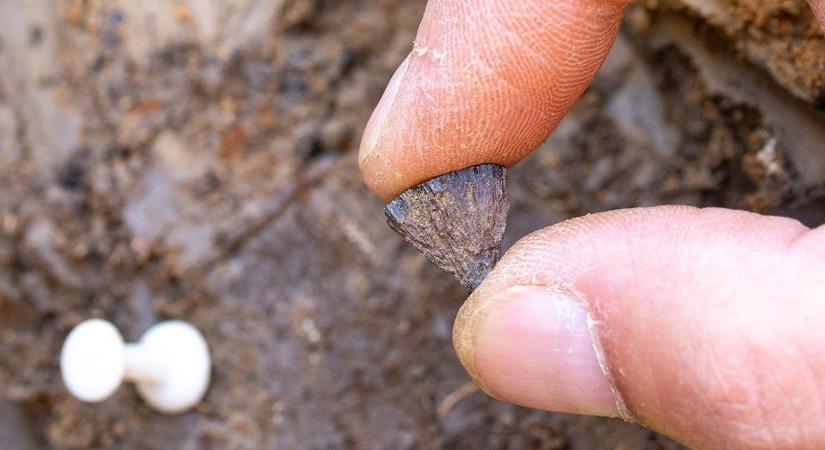 Olyan leletre bukkantak Angliában, ami átírhatja az emberiség ismert történetét
