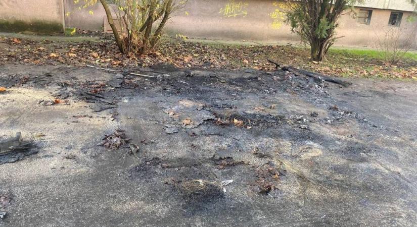 Szabadkai ügyésznő: Aggódom a saját és a családom biztonságáért