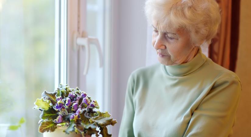 Napi horoszkóp 2025. 12. 12.: Földelő-rendszerező péntek