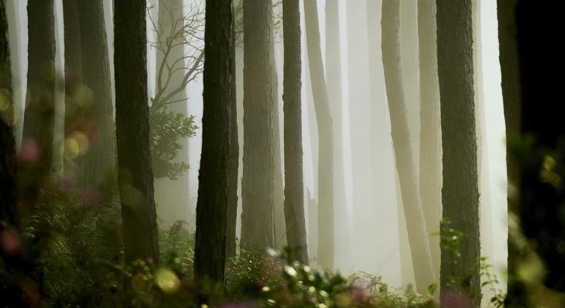 Mindenki ezt a hétvégi időjárás-jelentést várta!