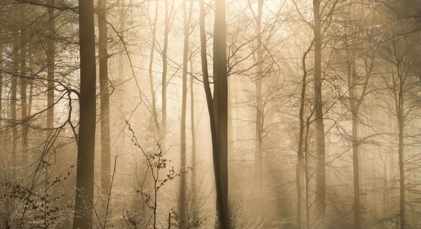 Nem tágít a köd a Kisalföldről pénteken sem - videó