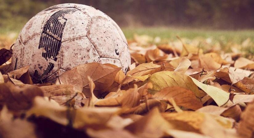 Sport és kert – Hogyan alakítsunk ki kertet sportos családhoz?