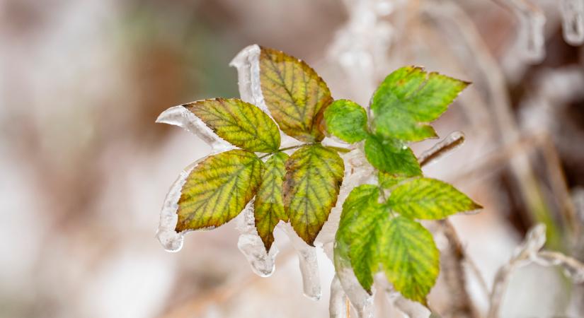 Hol vagy havazás? Ilyen idő vár ránk a következő napokban