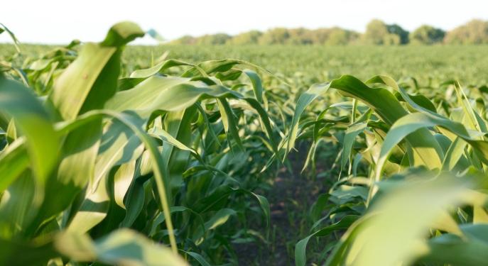 Biológiai készítményekkel a termésbiztonságért