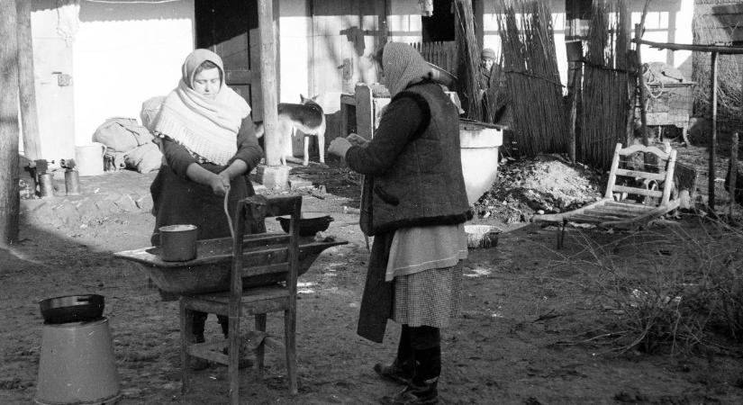 Kvíz: Hurka, kolbász és más disznóságok – Mindent tudsz a disznótorról?