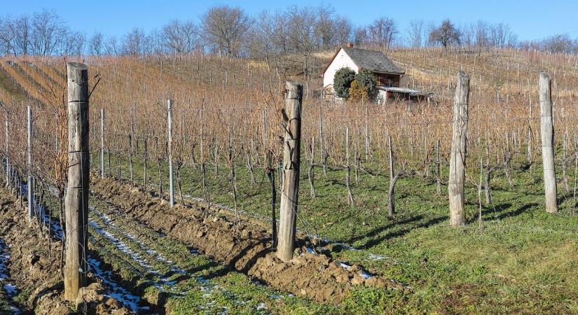 Egyszerűbb lett a zártkerti adás-vétel - ez téged is érinthet