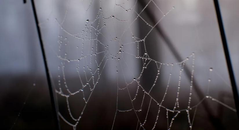 Ezt nem fogják szeretni: ilyen időjárás jöhet karácsonyig