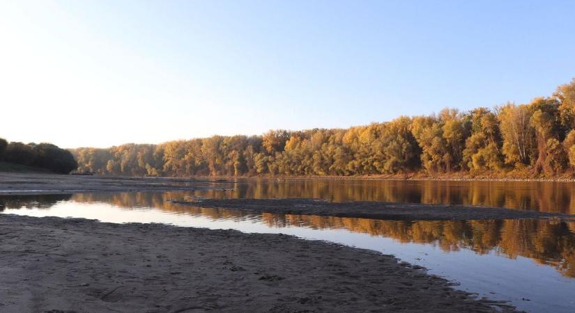 Valami különleges készül Csongrádon, a hétvégén érkezik a csoda