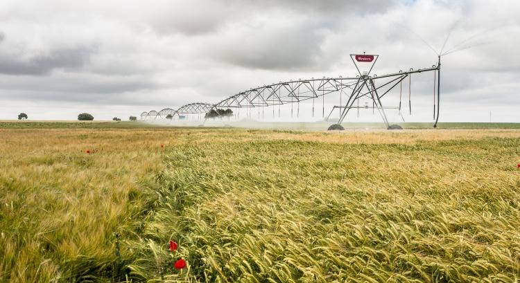 Western Irrigation: hatékony öntözés, biztos terméshozam