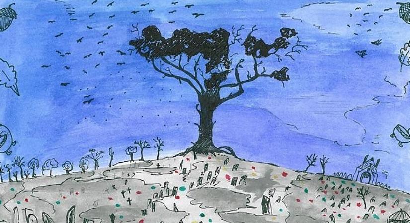 Milyen érdekesség köti össze Debrecen és Pécs városát?