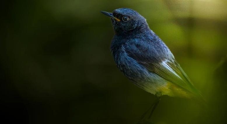 Borult időnk lesz pénteken