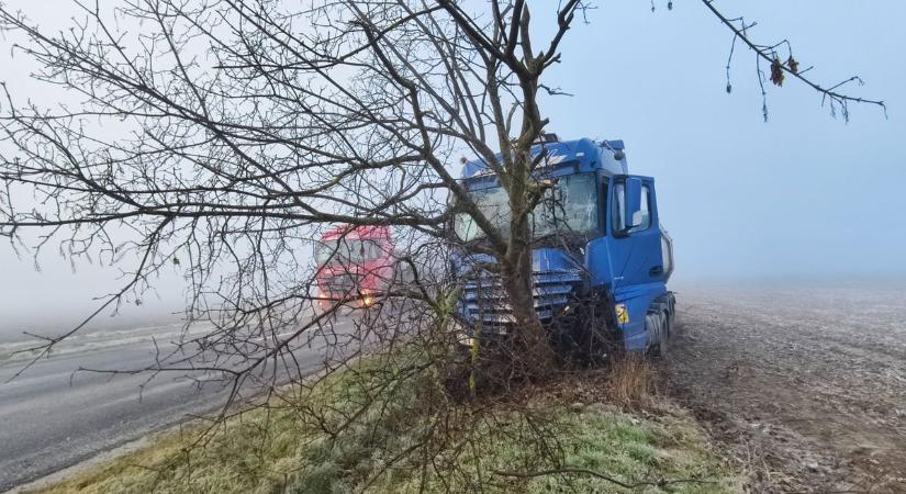 Fotók a Rábahídvégnél történt baleset helyszínéről: fákat tarolt le egy kamion