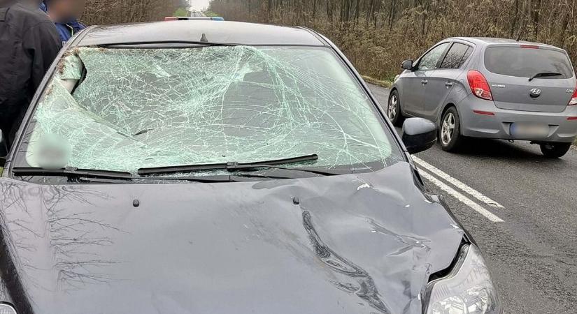 Szarvasbika zúzta le a Fordot a 74-esen, vadászat zajlott a közelben (Fotó a balesetről)