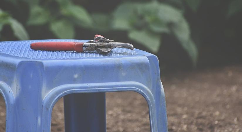 Mi az, amit decemberben már TILOS visszavágni?