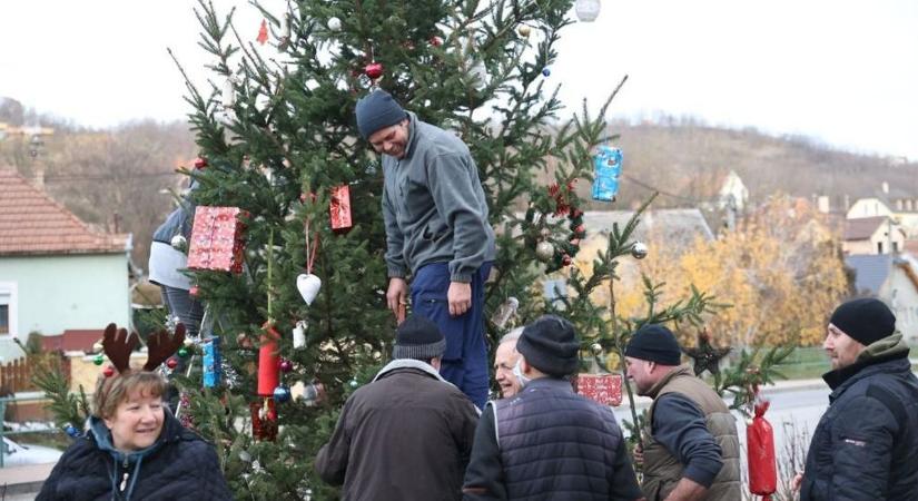 Ezt csináljuk utánuk: na így kell karácsonyfát állítani! (videó)
