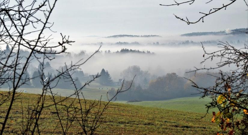 A köd árnyékában: hogyan hat a borongós idő a kalászosokra?