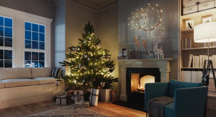 Emiatt nem érdemes vágott fenyő helyett gyökeres fát választani