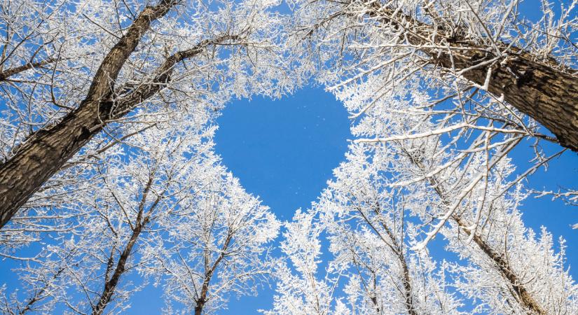 Az élet szeretetének ereje – gondolatok Maya Angelou tanítása nyomán