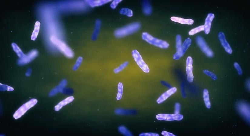 Több mint 40 év után megjelent a lepra egy szomszédos országban