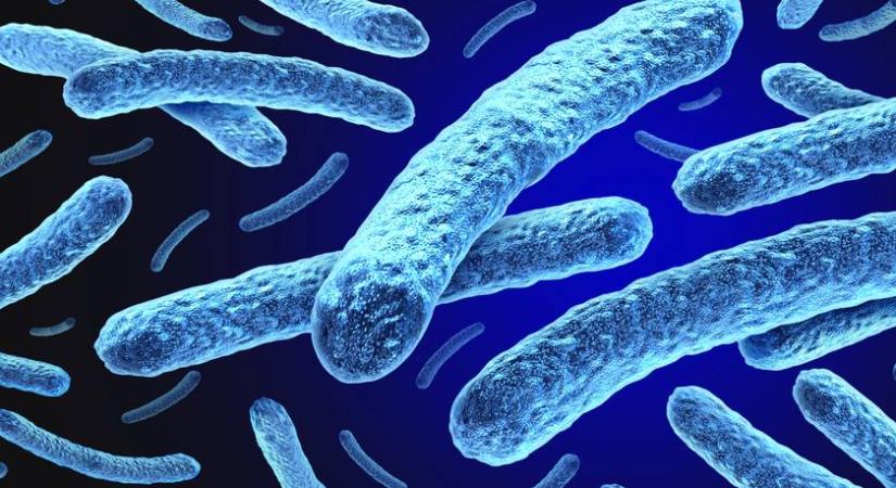 Leprás megbetegedést igazoltak a szomszédban: 44 éve nem történt ilyen