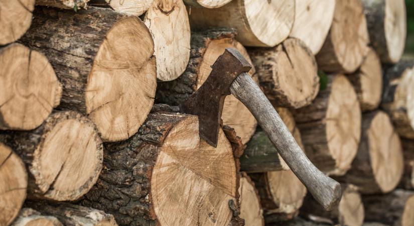 Már a fűtésszámlát is veszélyeztetik a csalók, a Nébih kiadta a figyelmeztetést