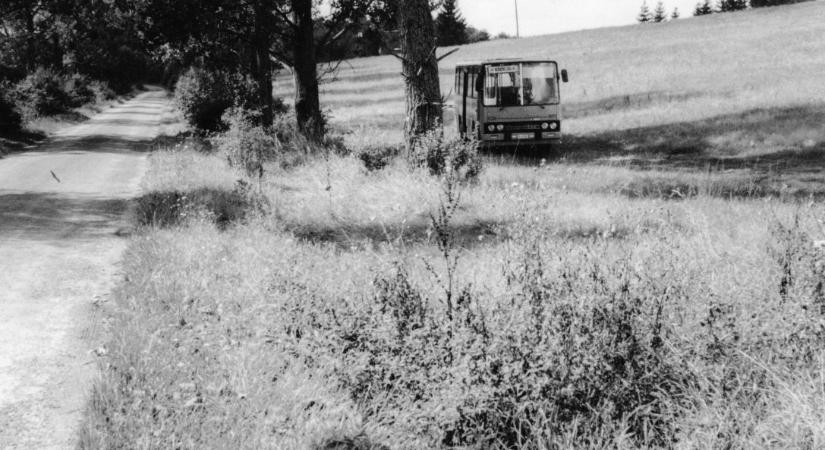 Kiss Bálint Béla: Harangkórus